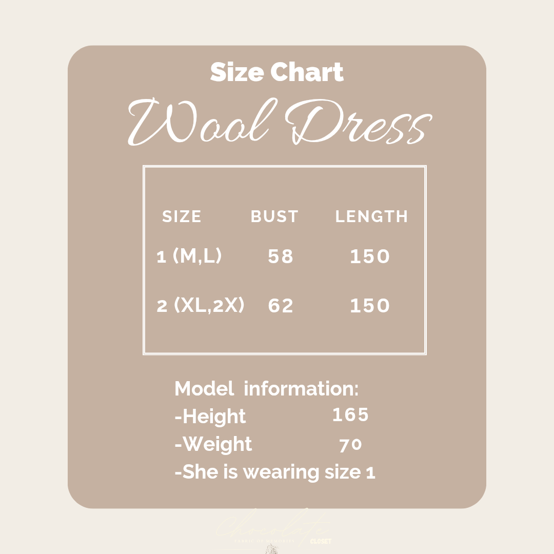 Winter Wool Dress